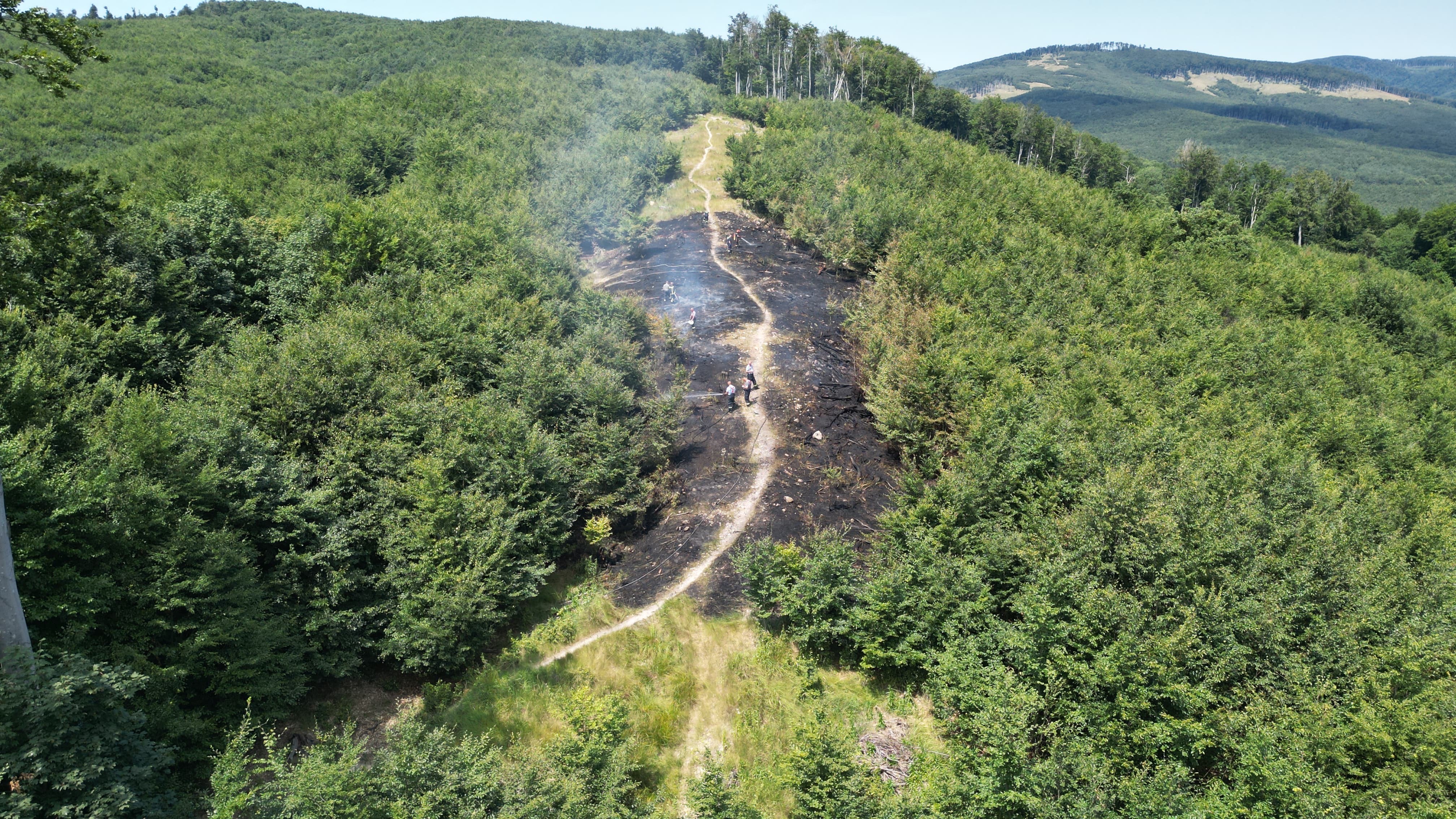 Požiar Pezinská Baba, les